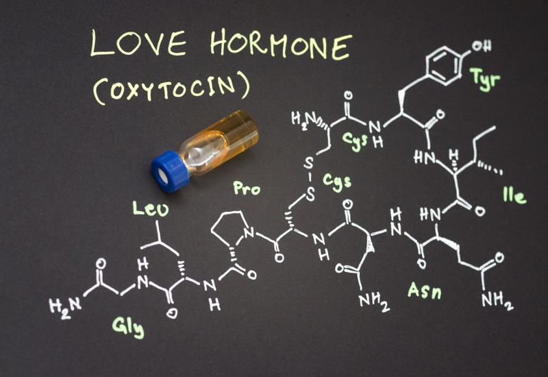 L’ossitocina: l’ormone del sesso e dell’amore