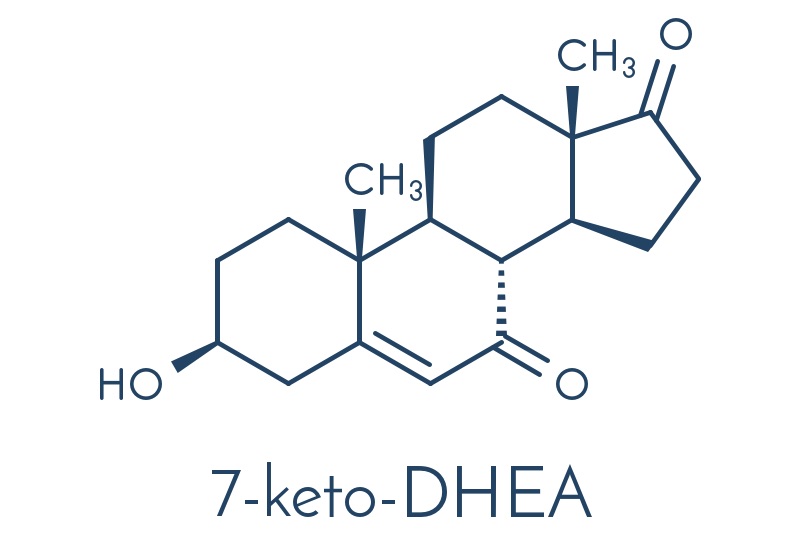 Il 7-KETO DHEA: lo stimolatore del sistema immunitario e del metabolismo